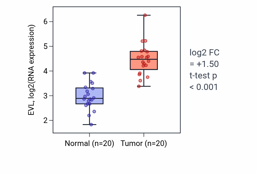 Tumor-vs-normal expression box plot for EVL in KIRC.