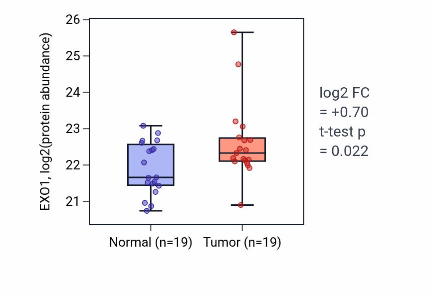 Tumor-vs-normal mass-spec protein box plot for EXO1 in LSCC.