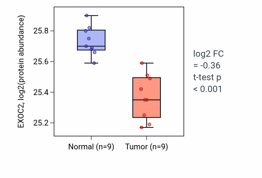 Tumor-vs-normal mass-spec protein box plot for EXOC2 in LSCC.