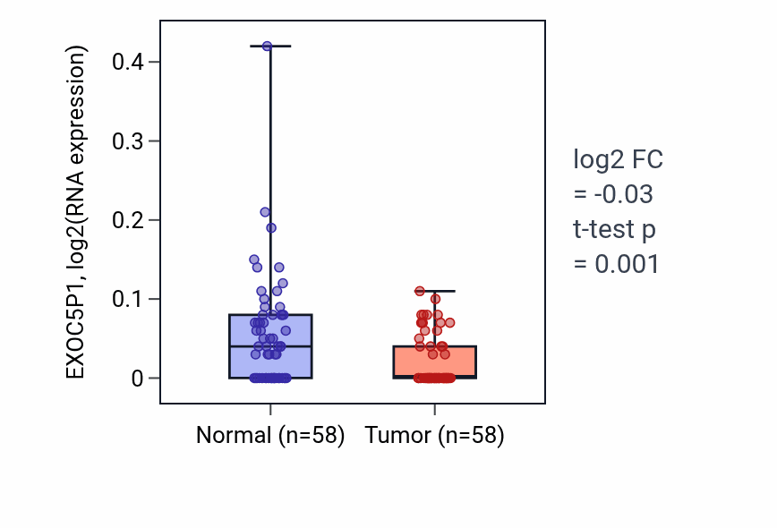 Tumor-vs-normal expression box plot for EXOC5P1 in THCA.