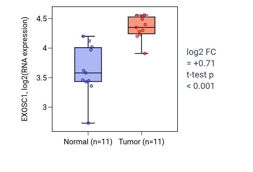 Tumor-vs-normal expression box plot for EXOSC1 in HNSC.