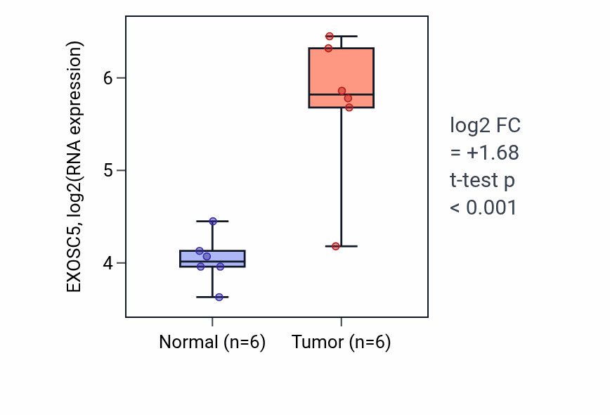 Tumor-vs-normal expression box plot for EXOSC5 in KIRC.