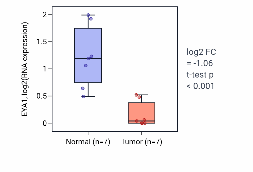 Tumor-vs-normal expression box plot for EYA1 in THCA.