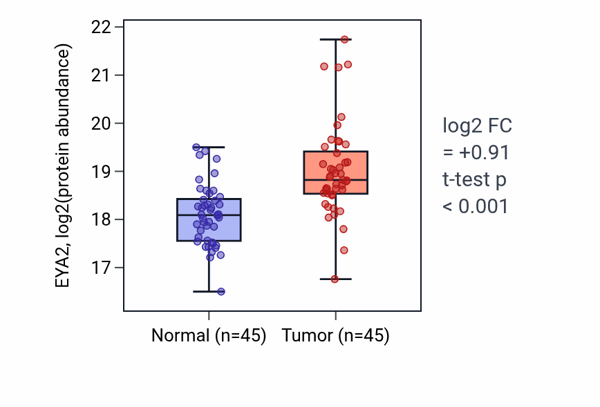 Tumor-vs-normal mass-spec protein box plot for EYA2 in LSCC.