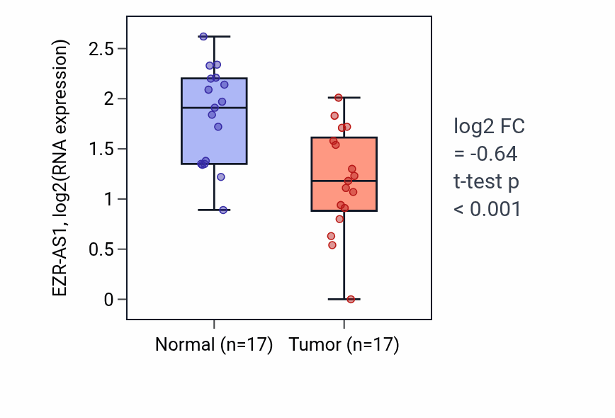 Tumor-vs-normal expression box plot for EZR-AS1 RNA in THCA.