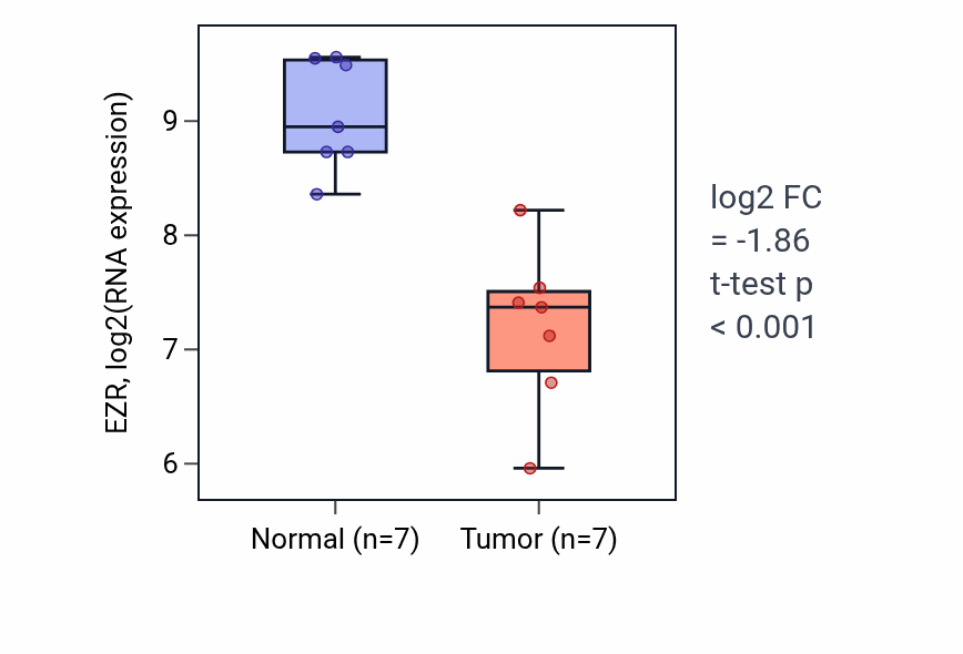 Tumor-vs-normal expression box plot for EZR in KICH.