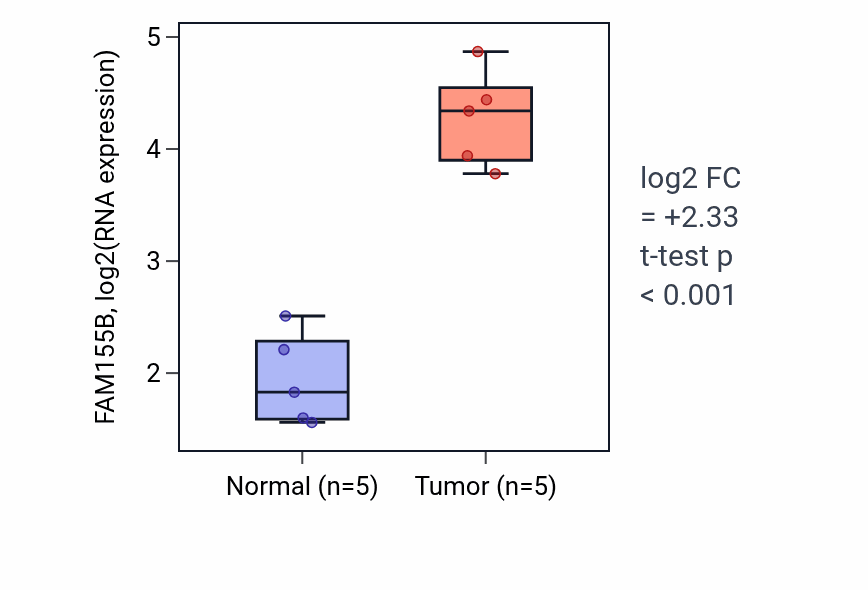 Tumor-vs-normal expression box plot for FAM155B in KIRP.