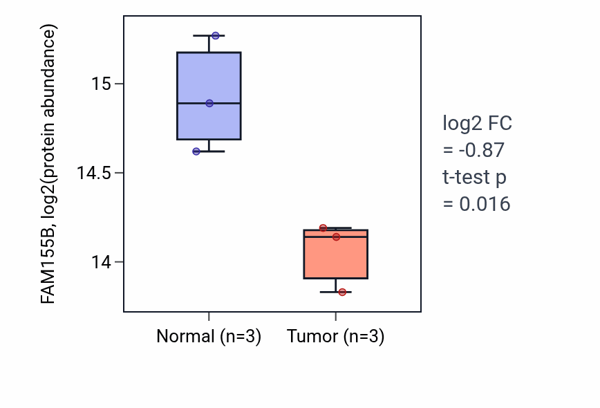 Tumor-vs-normal mass-spec protein box plot for FAM155B in HNSC.