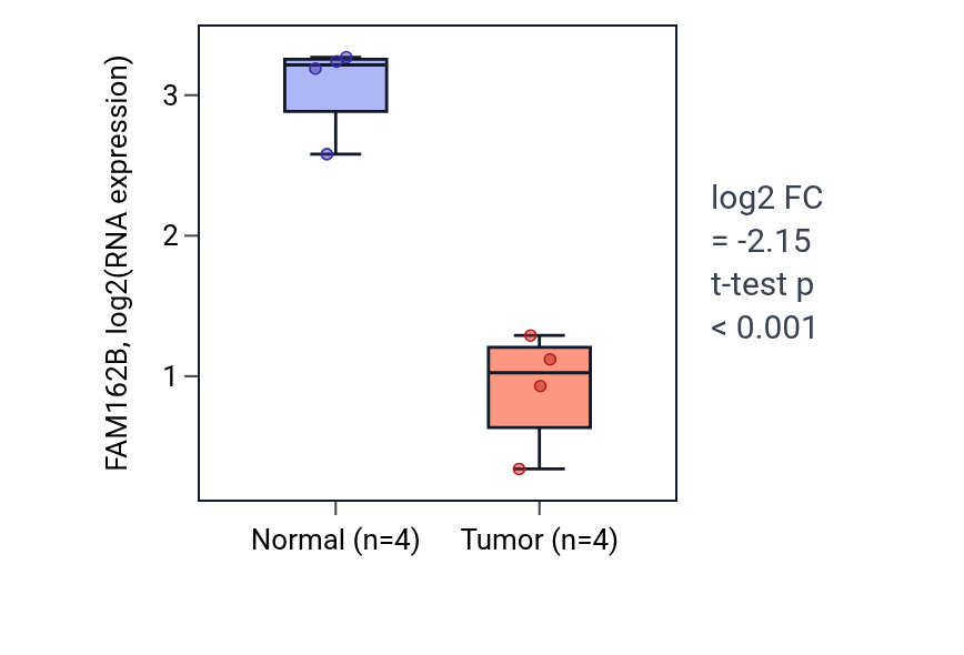 Tumor-vs-normal expression box plot for FAM162B in THCA.