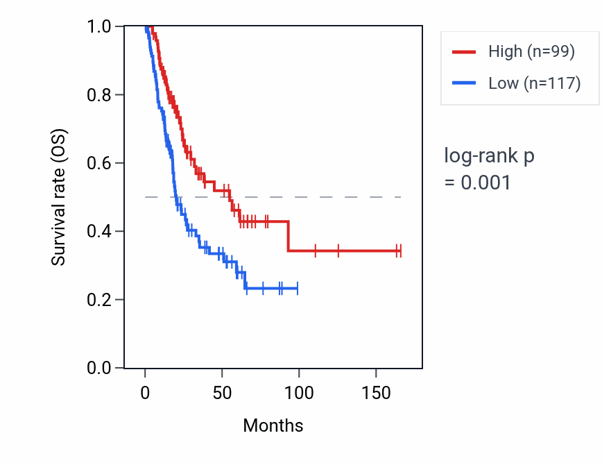 Kaplan&ndash;Meier survival curve for FAM163B RNA expression in BLCA: high vs low expression groups.