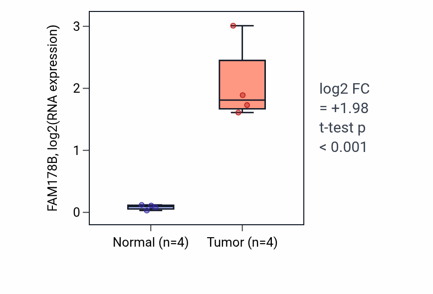 Tumor-vs-normal expression box plot for FAM178B in THCA.