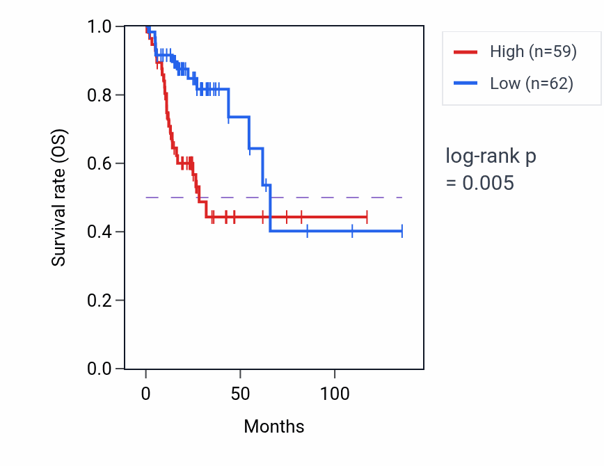 Kaplan&ndash;Meier survival curve for FAM219B RNA expression in COAD: high vs low expression groups.