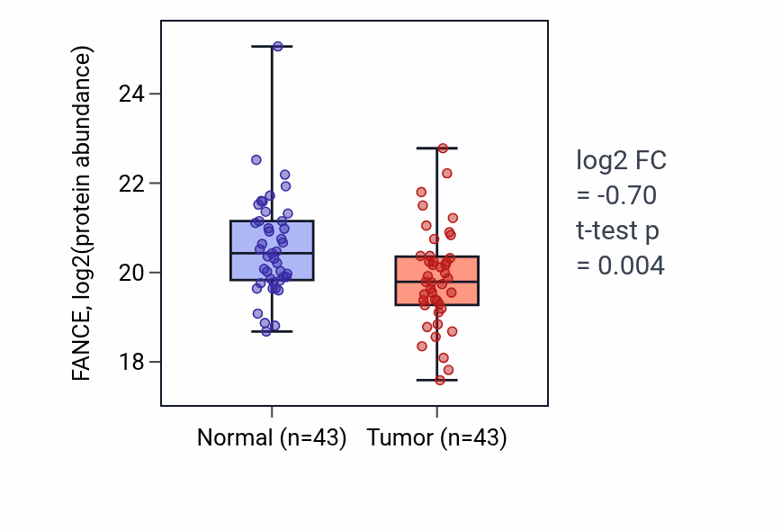Tumor-vs-normal mass-spec protein box plot for FANCE in LSCC.