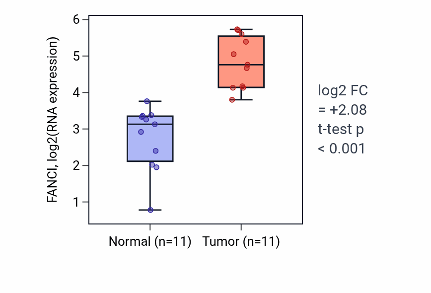Tumor-vs-normal expression box plot for FANCI in HNSC.