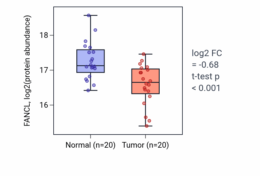 Tumor-vs-normal mass-spec protein box plot for FANCL in LSCC.