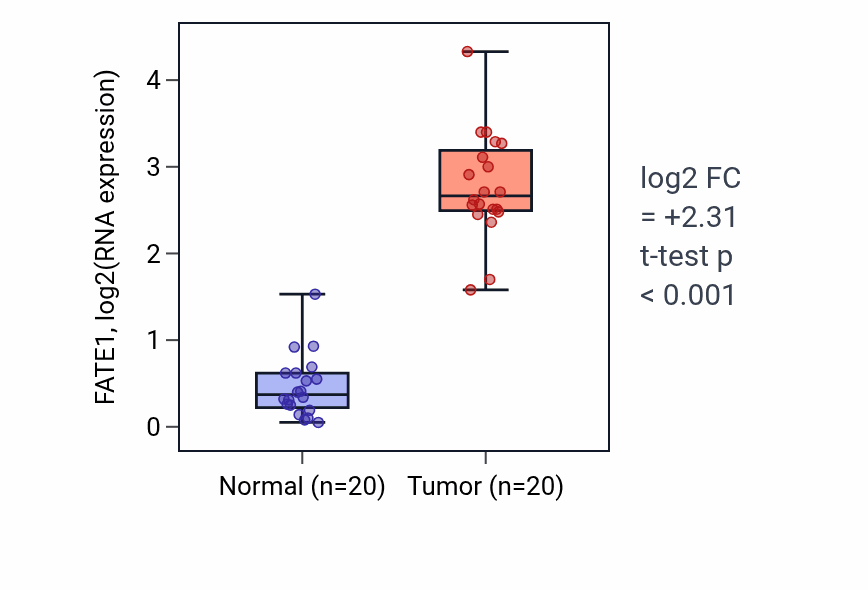 Tumor-vs-normal expression box plot for FATE1 in KIRC.