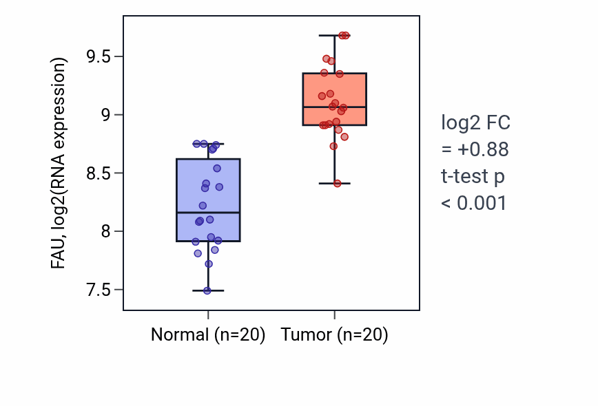 Tumor-vs-normal expression box plot for FAU in KIRC.
