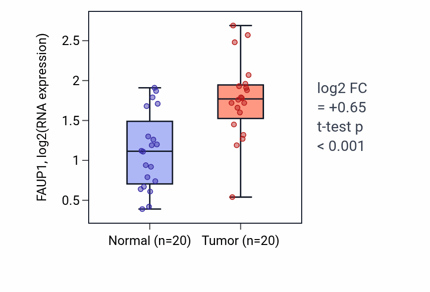 Tumor-vs-normal expression box plot for FAUP1 RNA in KIRC.