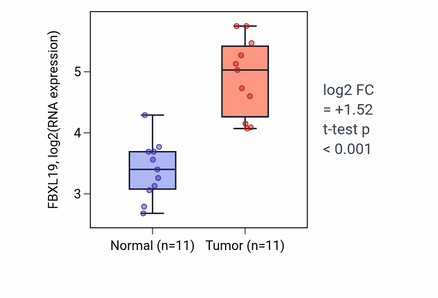 Tumor-vs-normal expression box plot for FBXL19 in KIRP.