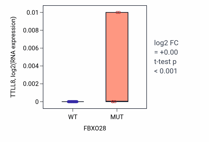 Box plot of TTLL8 in FBXO28-low vs FBXO28-high samples in LARGE_INTESTINE.