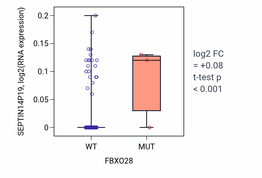 Box plot of SEPTIN14P19 in FBXO28-low vs FBXO28-high samples in LUSC.