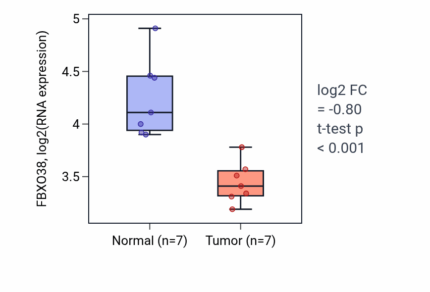 Tumor-vs-normal expression box plot for FBXO38 RNA in LUSC.