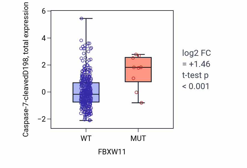 Box plot of Caspase-7-cleavedD198 in FBXW11-low vs FBXW11-high samples in COAD.