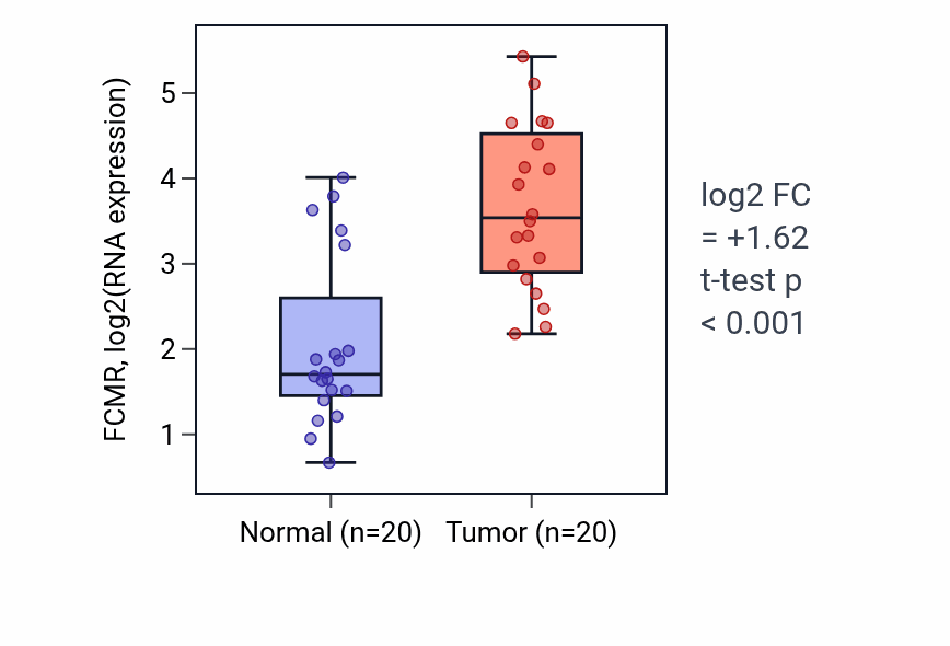 Tumor-vs-normal expression box plot for FCMR in KIRC.