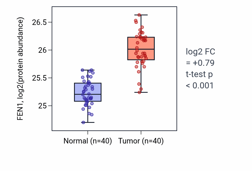 Tumor-vs-normal mass-spec protein box plot for FEN1 in COAD.