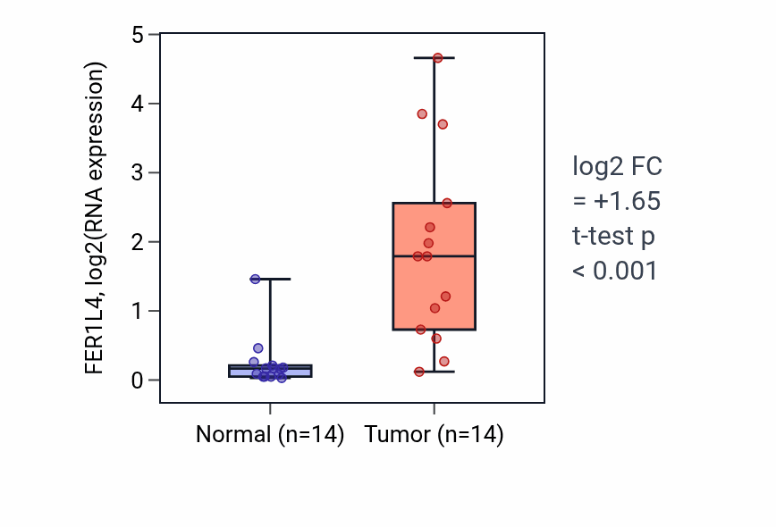 Tumor-vs-normal expression box plot for FER1L4 RNA in KIRC.