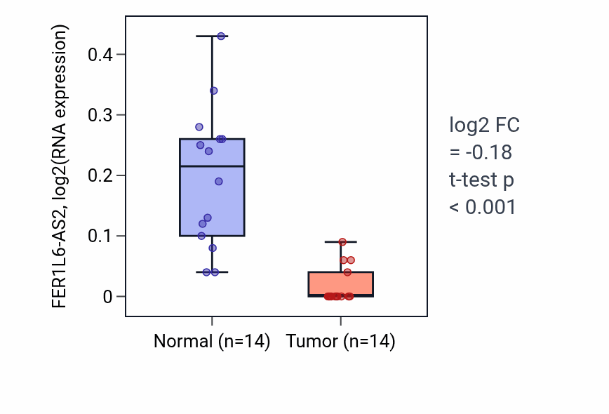 Tumor-vs-normal expression box plot for FER1L6-AS2 in THCA.