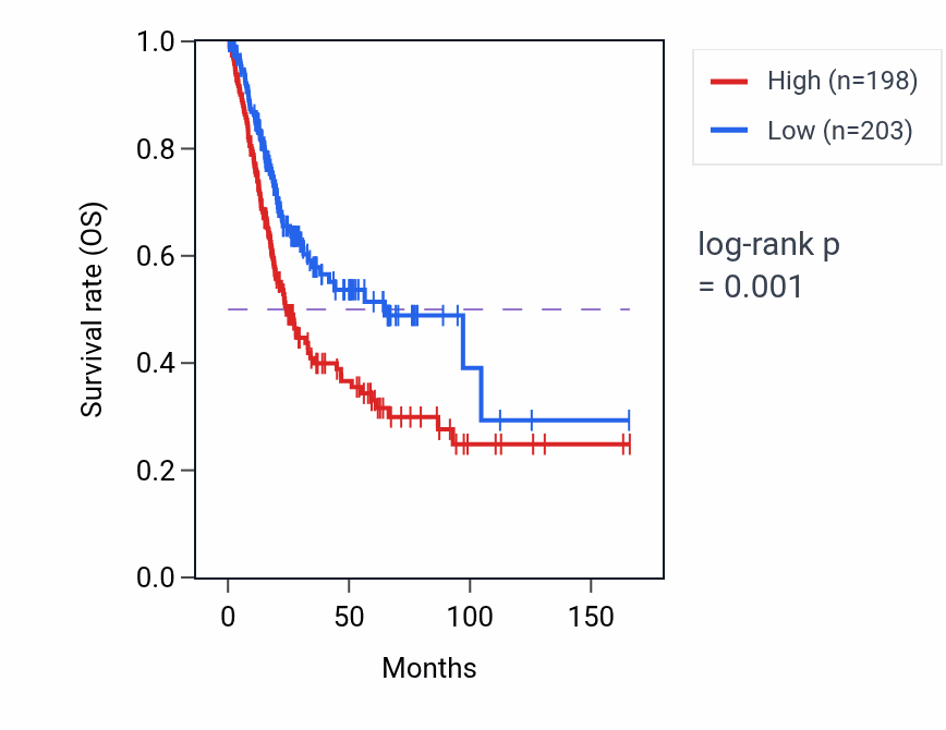 Kaplan&ndash;Meier survival curve for FERMT2 RNA expression in BLCA: high vs low expression groups.