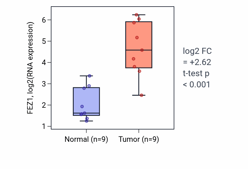 Tumor-vs-normal expression box plot for FEZ1 in HNSC.