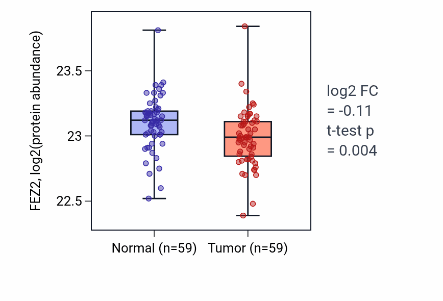 Tumor-vs-normal mass-spec protein box plot for FEZ2 in LSCC.