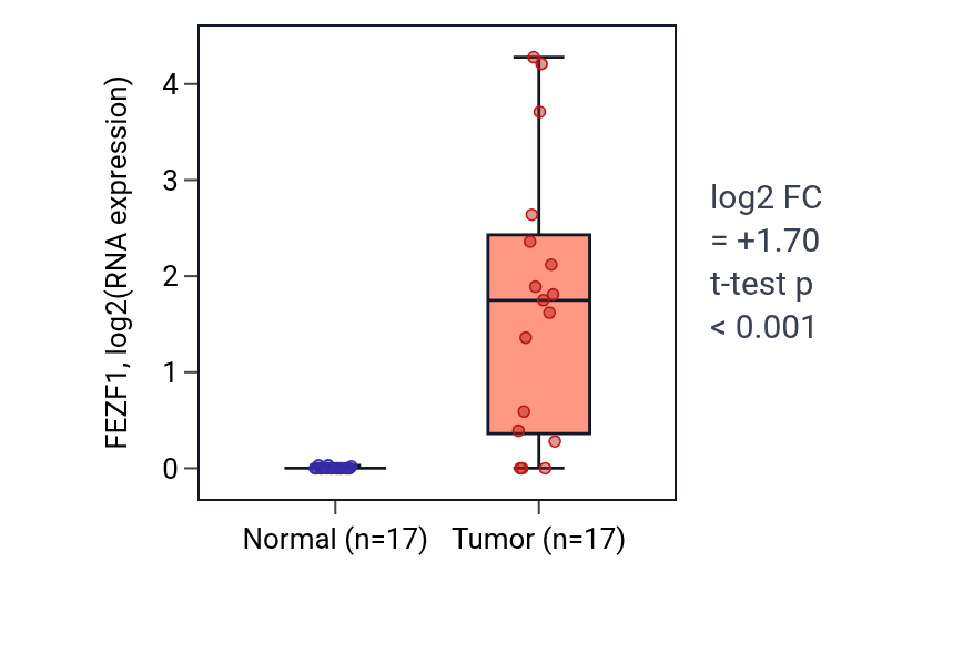 Tumor-vs-normal expression box plot for FEZF1 in COAD.