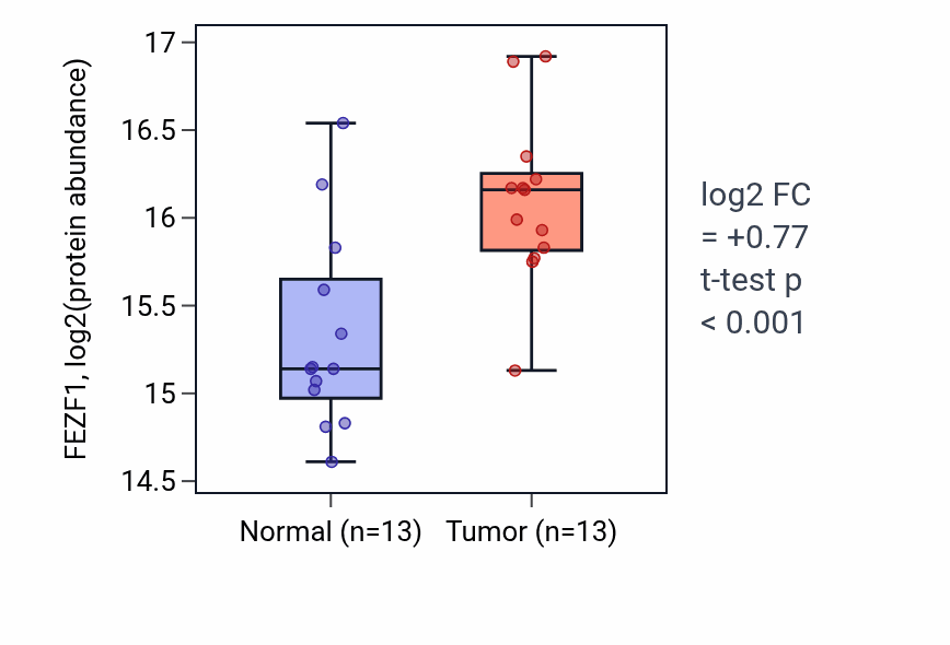 Tumor-vs-normal mass-spec protein box plot for FEZF1 in LSCC.