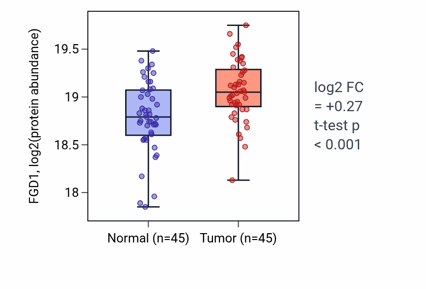 Tumor-vs-normal mass-spec protein box plot for FGD1 in LSCC.