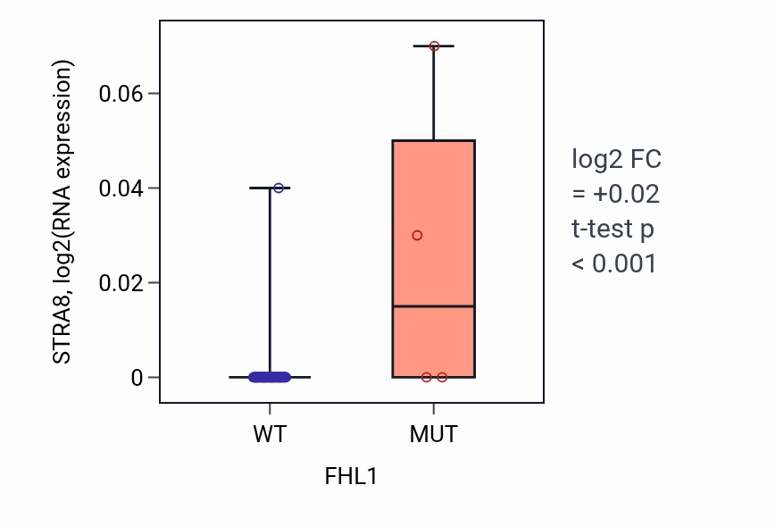 Box plot of STRA8 in FHL1-low vs FHL1-high samples in CNS.