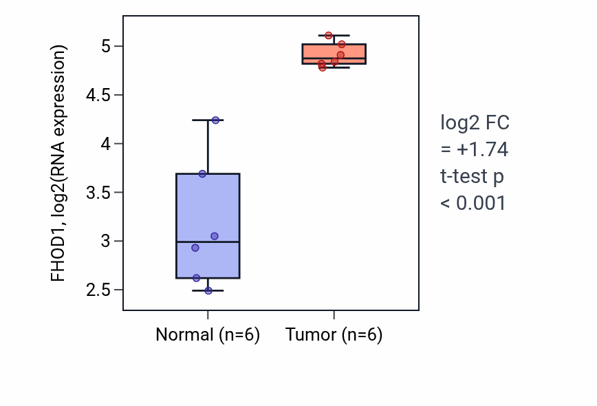 Tumor-vs-normal expression box plot for FHOD1 in HNSC.