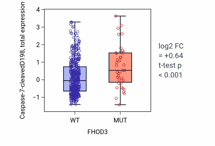 Box plot of Caspase-7-cleavedD198 in FHOD3-low vs FHOD3-high samples in UCEC.
