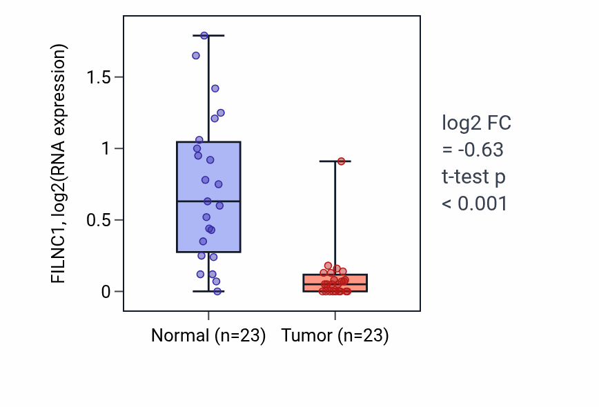 Tumor-vs-normal expression box plot for FILNC1 RNA in THCA.