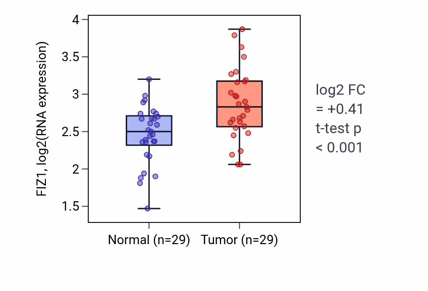 Tumor-vs-normal expression box plot for FIZ1 RNA in HNSC.