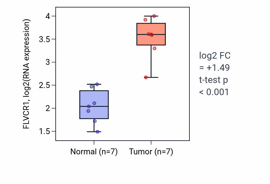 Tumor-vs-normal expression box plot for FLVCR1 in BLCA.