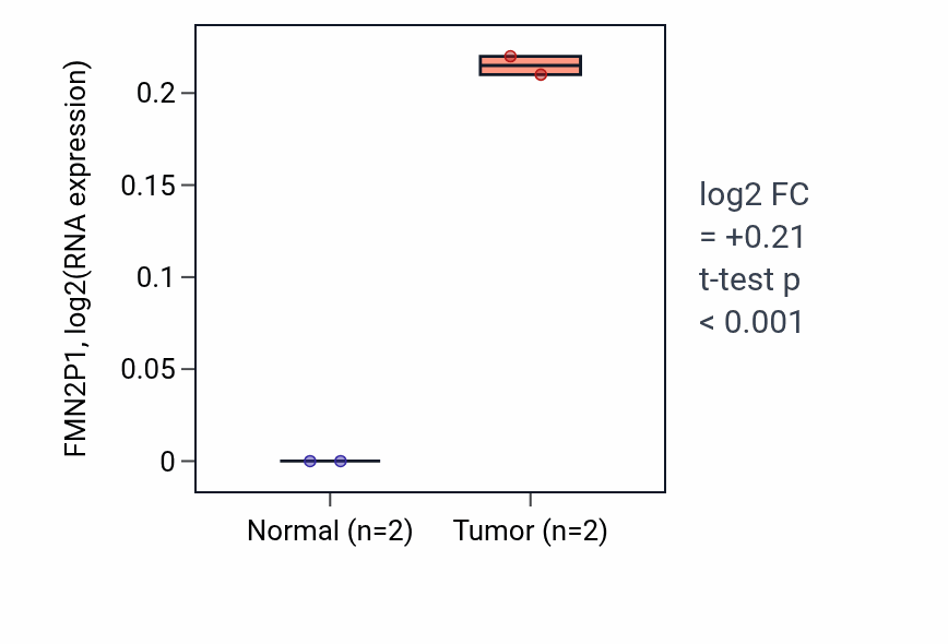Tumor-vs-normal expression box plot for FMN2P1 in UCEC.