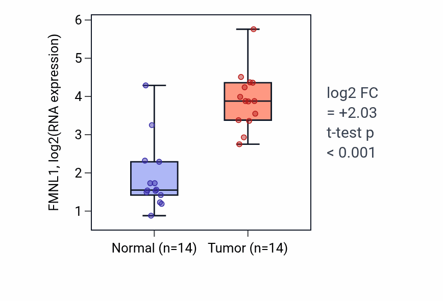 Tumor-vs-normal expression box plot for FMNL1 in KIRC.
