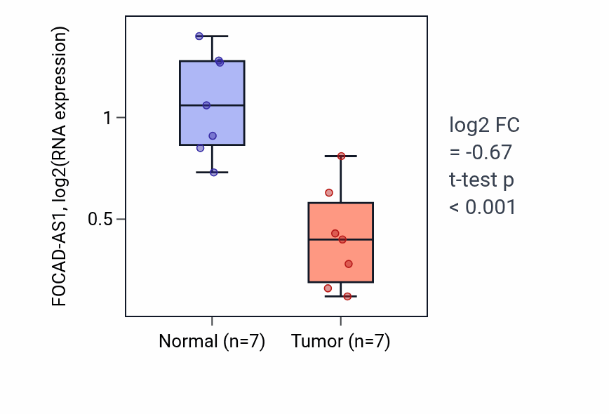 Tumor-vs-normal expression box plot for FOCAD-AS1 in THCA.