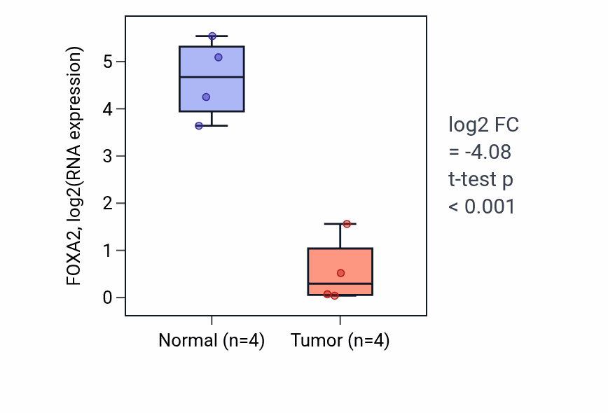 Tumor-vs-normal expression box plot for FOXA2 in THCA.