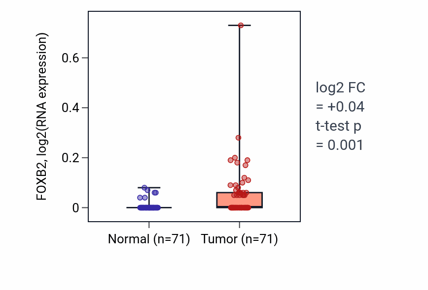 Tumor-vs-normal expression box plot for FOXB2 in KIRC.