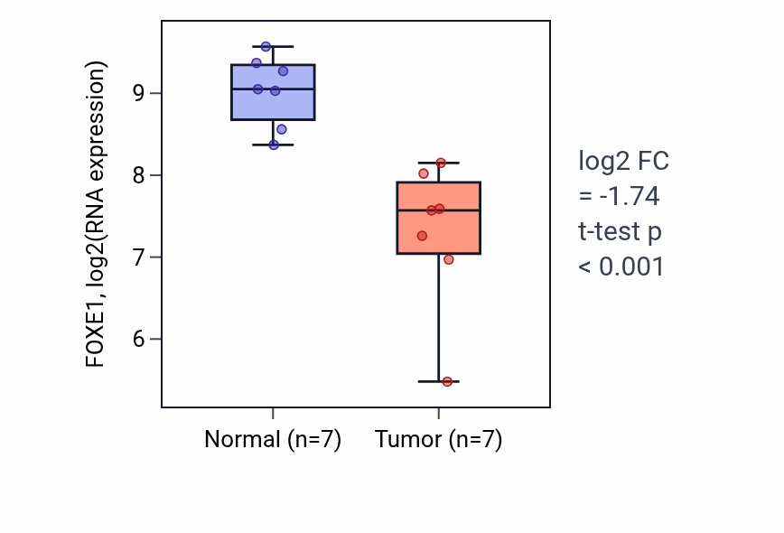 Tumor-vs-normal expression box plot for FOXE1 in THCA.