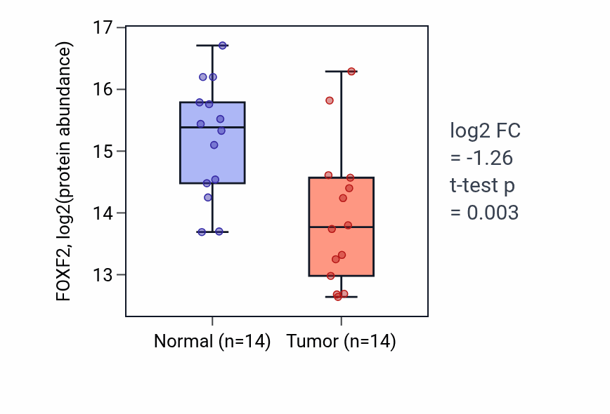 Tumor-vs-normal mass-spec protein box plot for FOXF2 in LSCC.